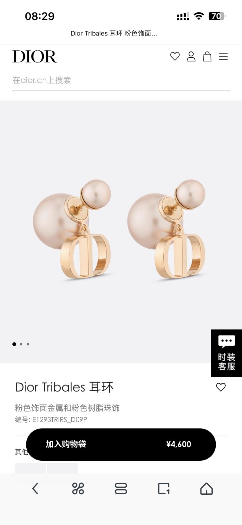 chr1st1an D10r earrings